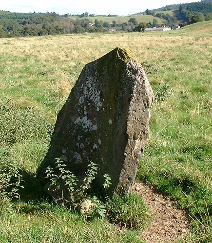 Dunkeld Park Stone (Standing Stone / Menhir) by nickbrand