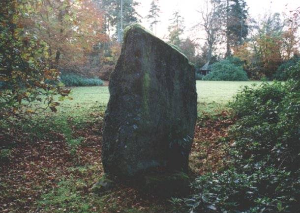 Druids Park (Murthly Hospital) (Stone Circle) by nickbrand