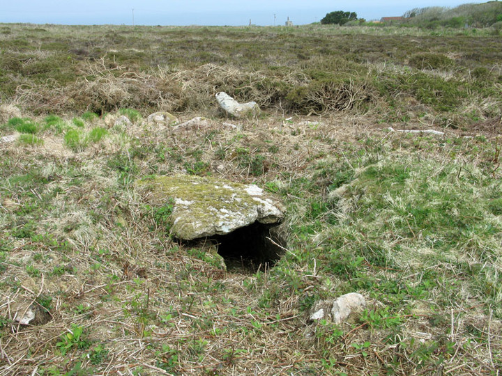 Portheras Common Barrow (Round Cairn) by chrisbird