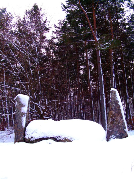 Cothiemuir Wood (Stone Circle) by faerygirl