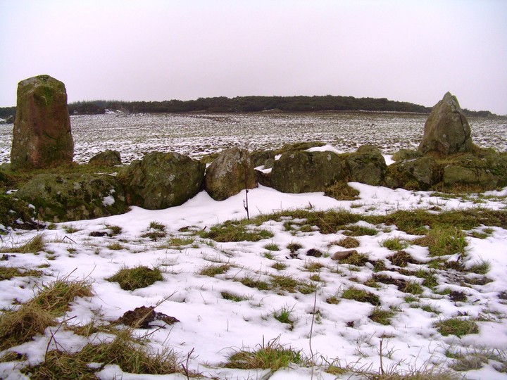 Aquhorthies (Stone Circle) by faerygirl