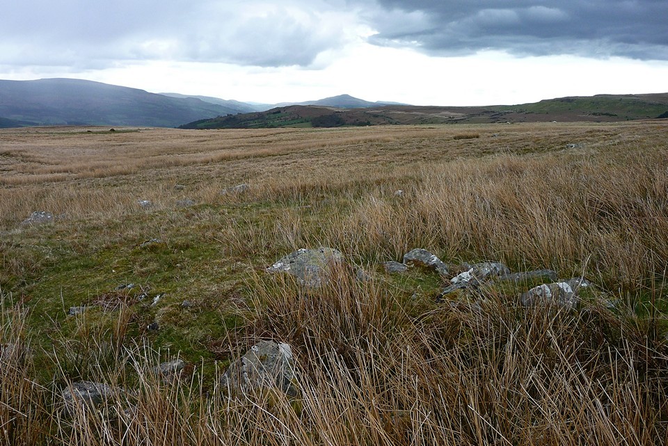 Carreg Wen Fawr Y Rugos (Stone Row / Alignment) by thesweetcheat