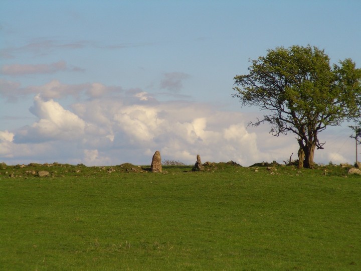 Middle Barrow (Standing Stone / Menhir) by faerygirl