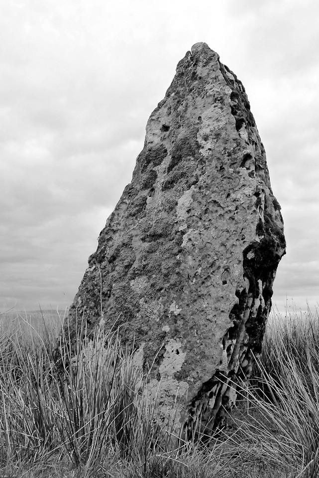 Carreg Waun Llech (Standing Stone / Menhir) by thesweetcheat