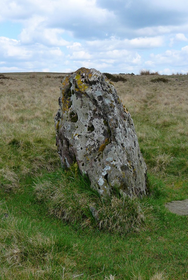 Daudreath Illtyd (Standing Stone / Menhir) by thesweetcheat