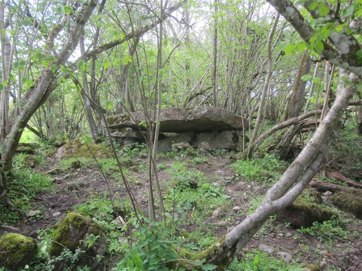 Gorraun (Wedge Tomb) by bogman
