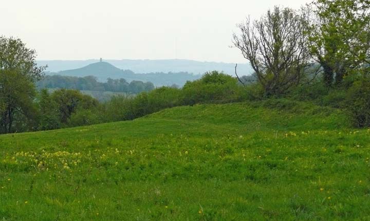Dundon Hill (Hillfort) by baza