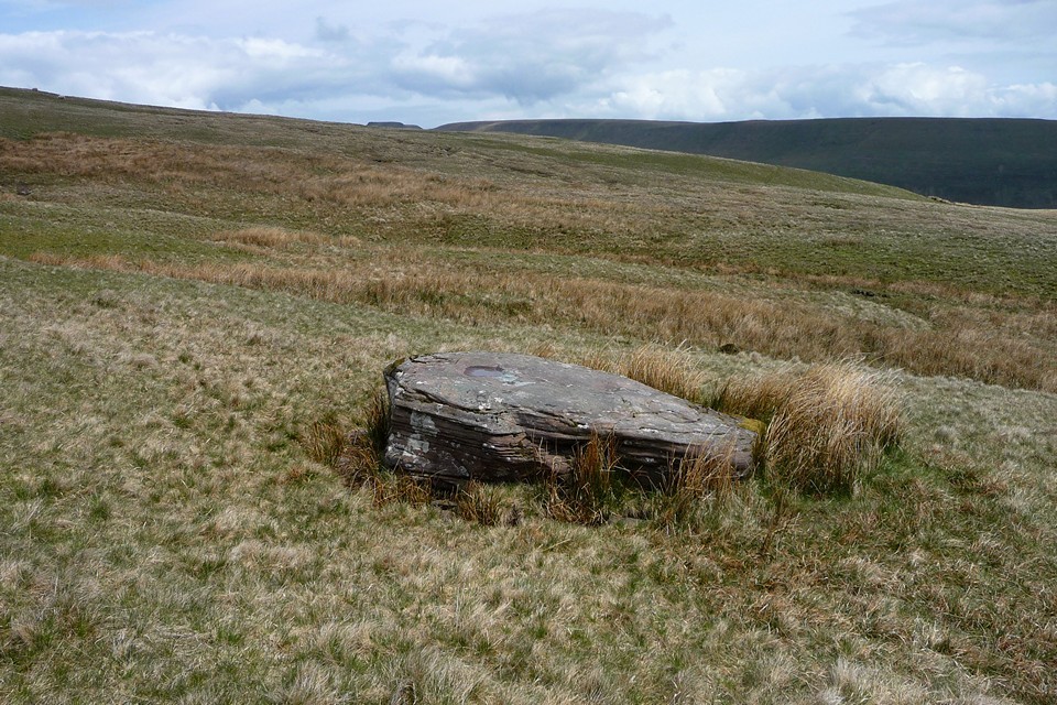 Cefn-yr-Henriw recumbent stone (Standing Stone / Menhir) by thesweetcheat