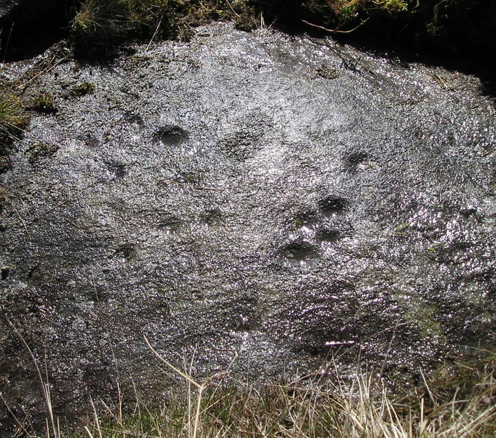 Meikle Logie (Cup Marked Stone) by tiompan