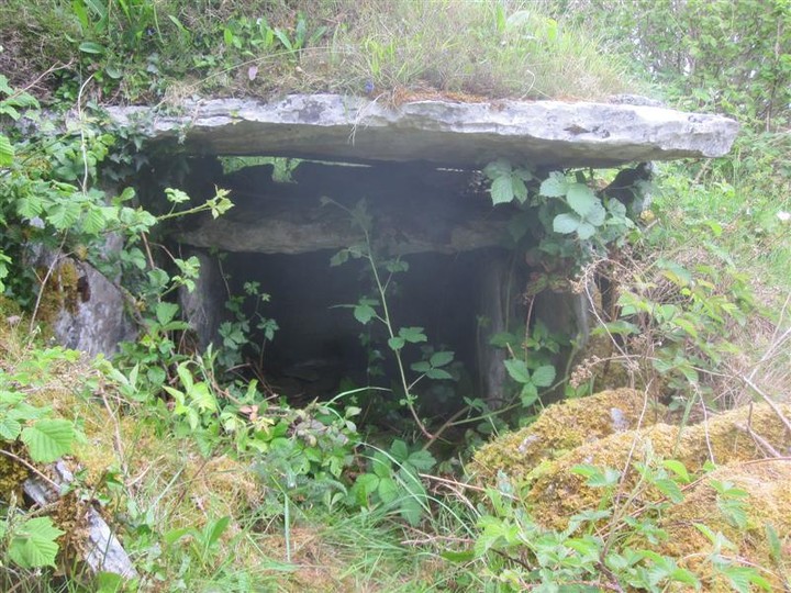Baur South (Wedge Tomb) by bogman