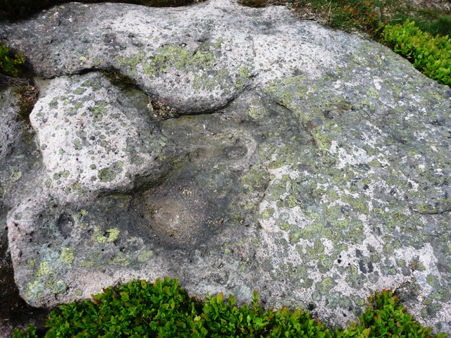 Little Oxen Craig (Cup Marked Stone) by drewbhoy
