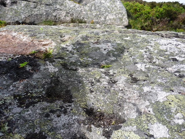 Socket Stone Rock (Cup Marked Stone) by drewbhoy