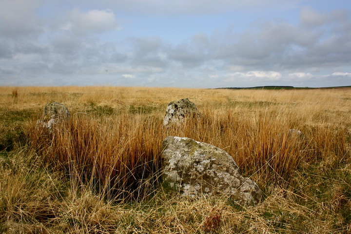 Glentirrow (Stone Circle) by GLADMAN
