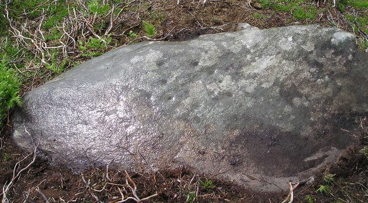 Craig Tombane (Cup Marked Stone) by tiompan