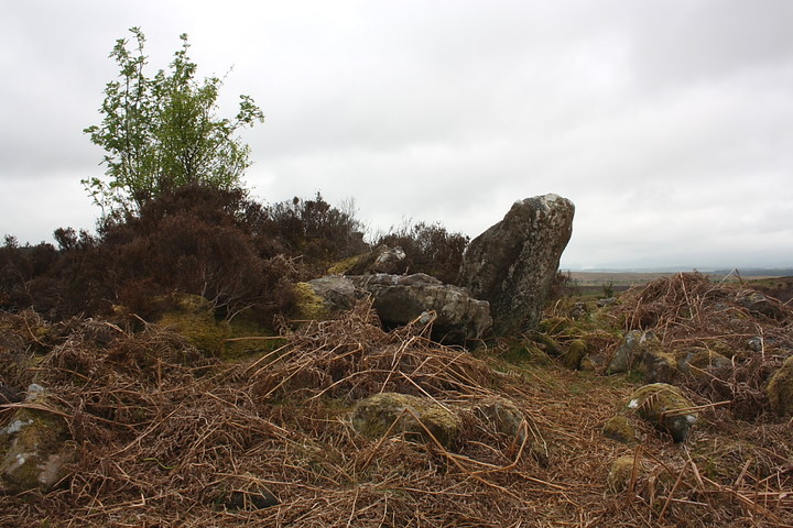 Stockie Muir (Chambered Cairn) by GLADMAN