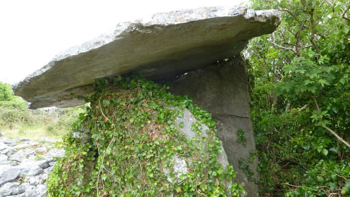 Crannagh (Portal Tomb) by Nucleus