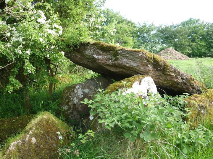 Marble Hill (south) (Wedge Tomb) by Nucleus