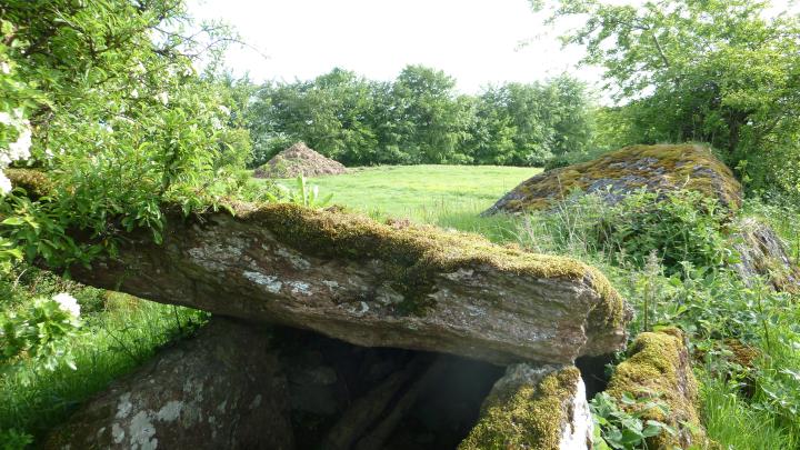 Marble Hill (south) (Wedge Tomb) by Nucleus