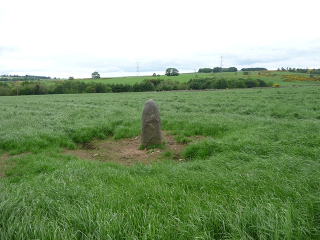 South Leylodge (Standing Stone / Menhir) by drewbhoy