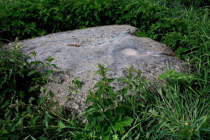 Monzie Rock Art (Cup and Ring Marks / Rock Art) by GLADMAN