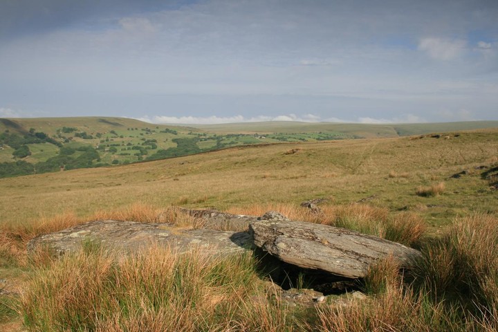 Carn Llechart Burial Chamber (Chambered Tomb) by postman