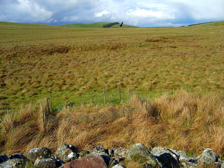 North Muir (Cairn(s)) by GLADMAN