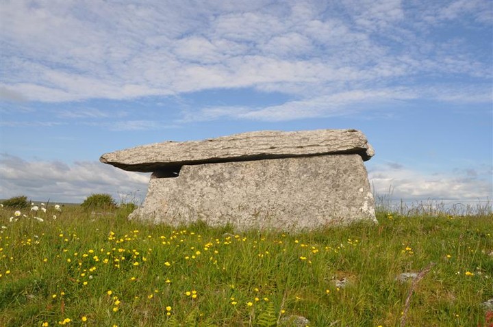 Poulaphuca (Wedge Tomb) by bogman