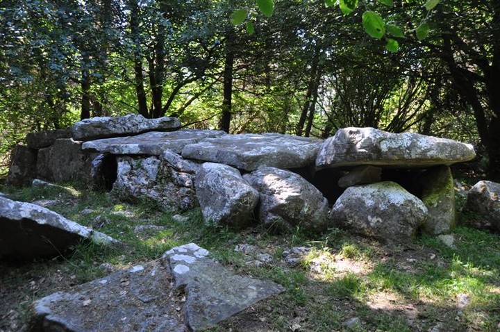 Burren (E) (Wedge Tomb) by bogman