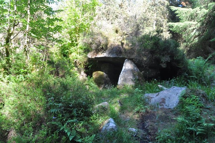 Burren (SW) (Wedge Tomb) by bogman