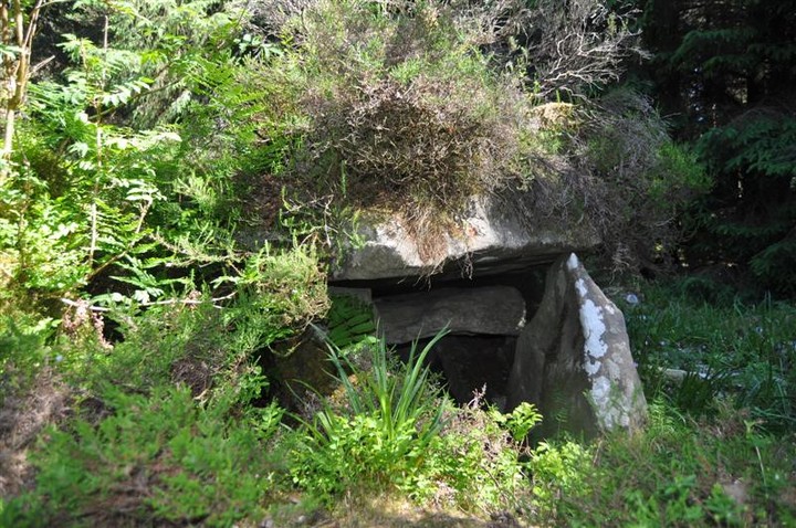 Burren (SW) (Wedge Tomb) by bogman