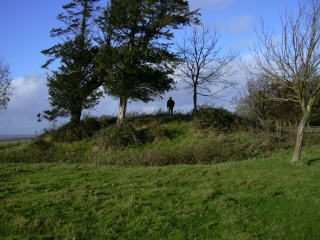 Whaddon Mill Mound (Round Barrow(s)) by glennnancy