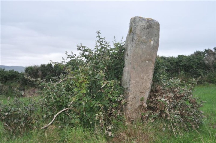 Foheraghmore (Standing Stone / Menhir) by bogman