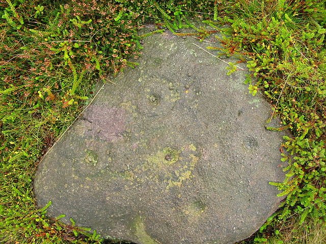 Weary Hill Stone (Cup and Ring Marks / Rock Art) by stubob