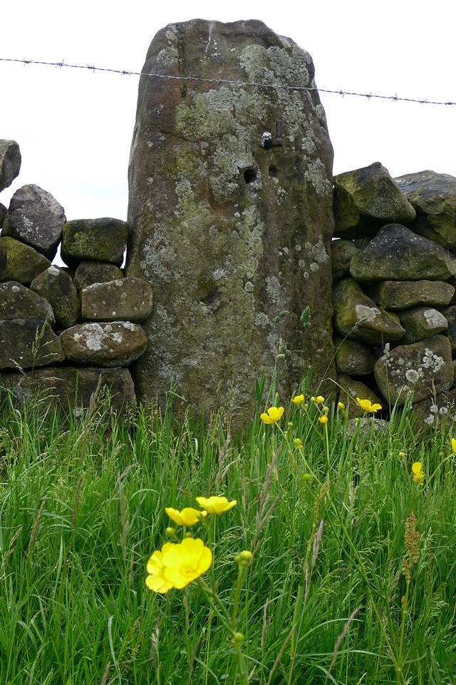 Nine Stones Close standing stone (Standing Stone / Menhir) by thesweetcheat