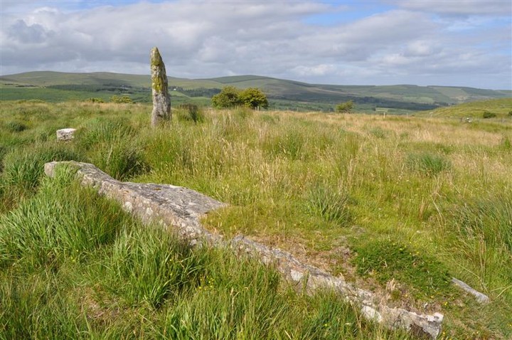 Stone Row, partially ruined (Stone Row / Alignment) by bogman