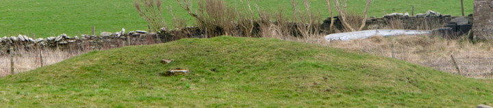 Voy (Burnt Mound / Fulacht Fia) by wideford