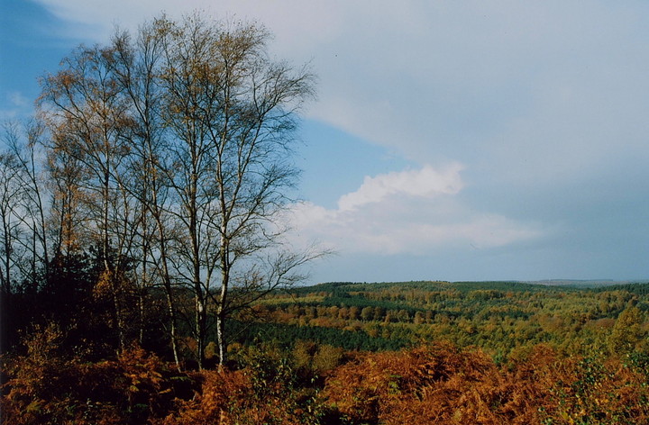 Castle Ring (Cannock Wood) (Hillfort) by GLADMAN