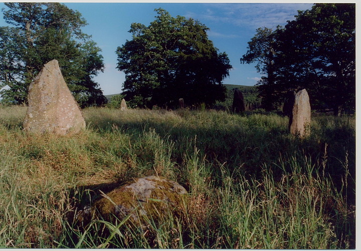 Sunhoney (Stone Circle) by GLADMAN