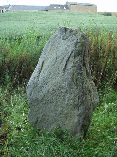 Denmarkfield / King's Stone (Standing Stone / Menhir) by scotty