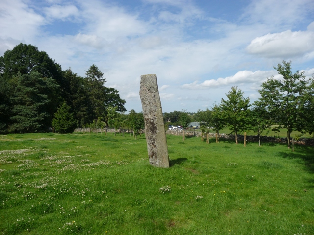 Langstane o' Craigearn (Standing Stone / Menhir) by drewbhoy