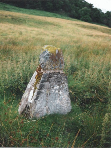 Fingal's Stone (Standing Stone / Menhir) by Martin