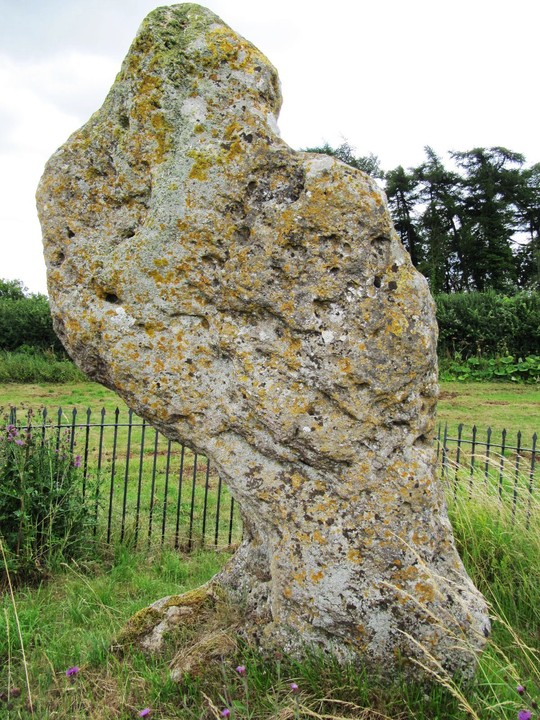 The King Stone (Standing Stone / Menhir) by tjj