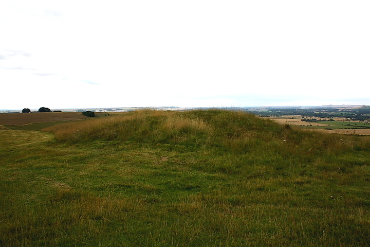 Giant's Grave (Milton Hill) (Long Barrow) by GLADMAN