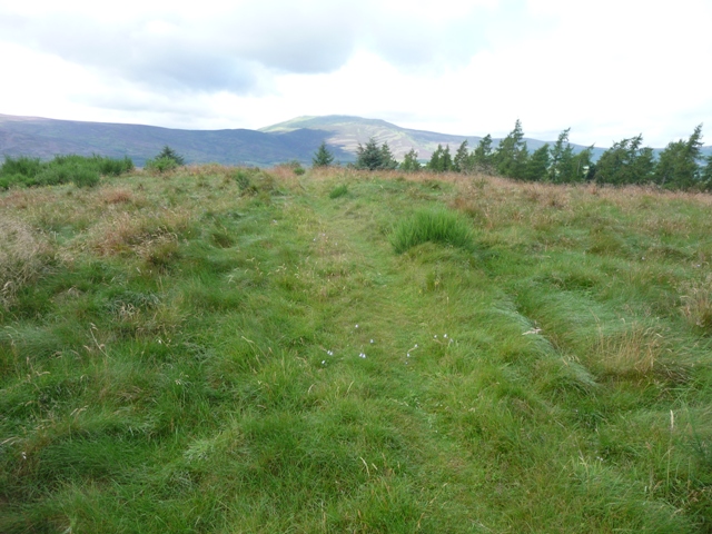 Knockargety Hill (Hillfort) by drewbhoy