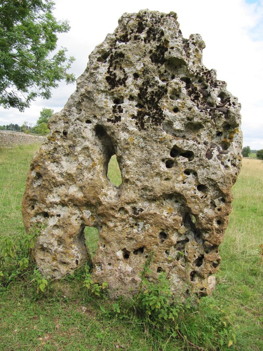 The Longstone of Minchinhampton (Standing Stone / Menhir) by tjj