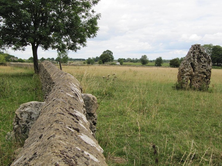 The Longstone of Minchinhampton (Standing Stone / Menhir) by tjj