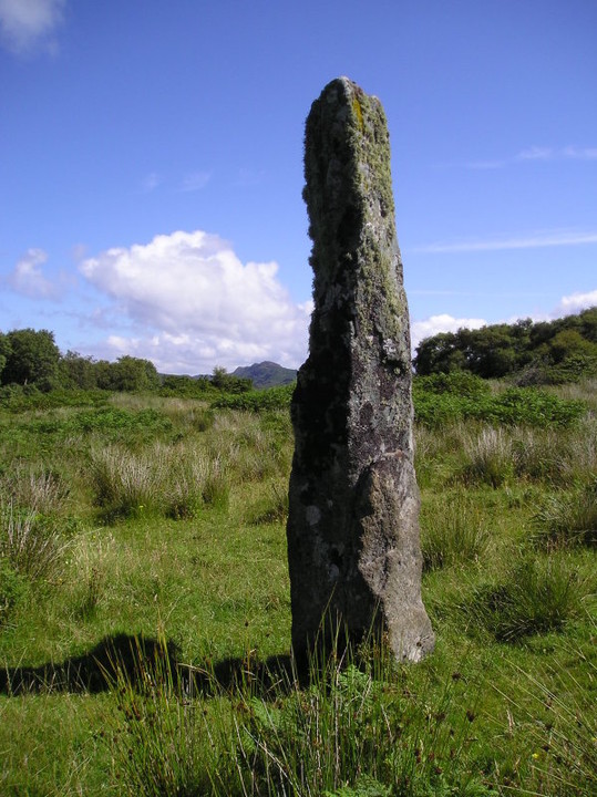 Barnashaig (Tayvallich) (Standing Stone / Menhir) by tiompan