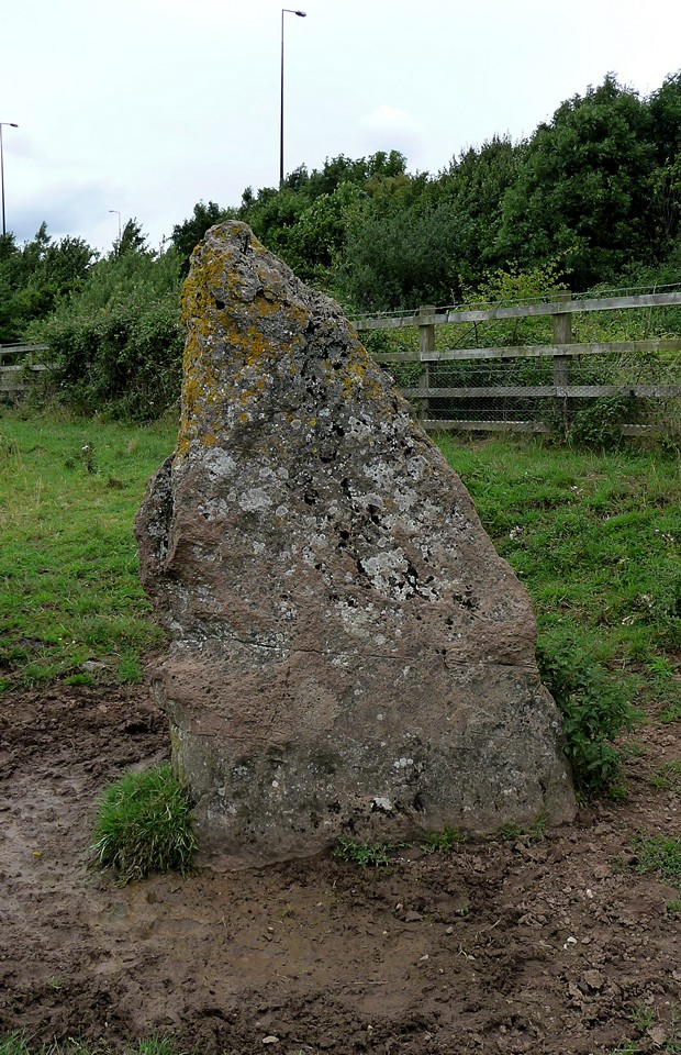 Llanfihangel Rogiet (Standing Stone / Menhir) by thesweetcheat