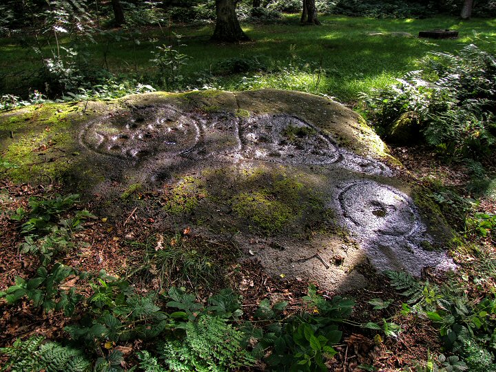 Fairy Stone (Cottingley) (Cup and Ring Marks / Rock Art) by Chris Collyer