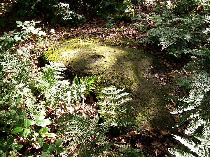 Fairy Stone (Cottingley) (Cup and Ring Marks / Rock Art) by Chris Collyer